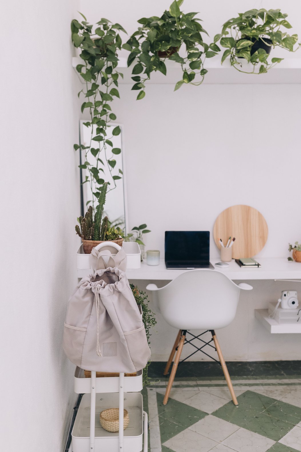 Indoor Plants in a Minimalist Home Office